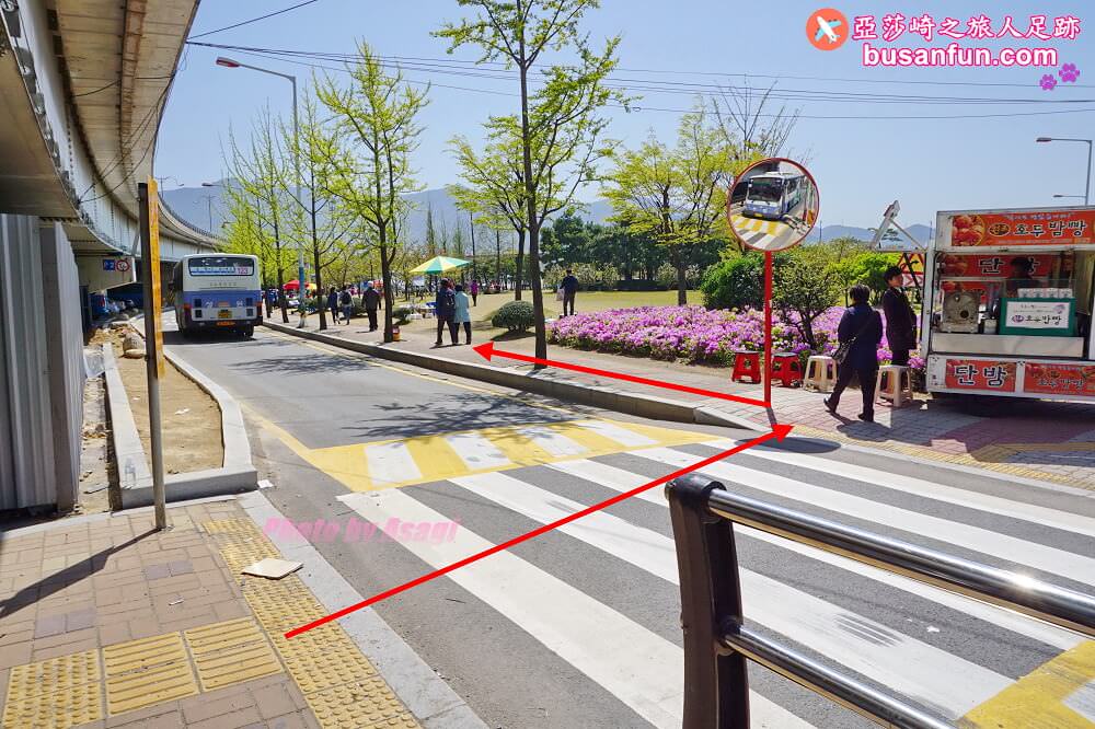 釜山油菜花景點》江西區廳站｜大渚生態公園洛東江油菜花慶典攻略+交通資訊