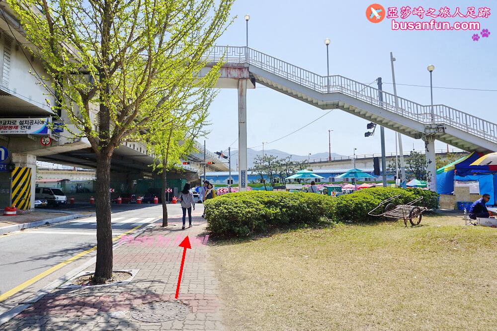 釜山油菜花景點》江西區廳站|大渚生態公園洛東江油菜花慶典攻略+交通資訊 - 第41張圖 釜山油菜花景點》江西區廳站|大渚生態公園洛東江油菜花慶典攻略+交通資訊