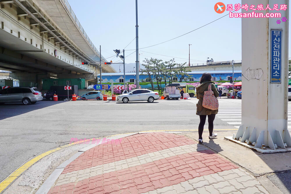 釜山油菜花景點》江西區廳站|大渚生態公園洛東江油菜花慶典攻略+交通資訊 - 第43張圖 釜山油菜花景點》江西區廳站|大渚生態公園洛東江油菜花慶典攻略+交通資訊