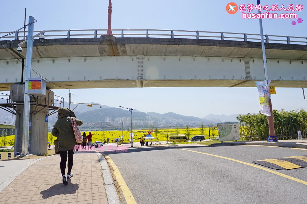 釜山油菜花景點》江西區廳站|大渚生態公園洛東江油菜花慶典攻略+交通資訊 - 第44張圖 釜山油菜花景點》江西區廳站|大渚生態公園洛東江油菜花慶典攻略+交通資訊
