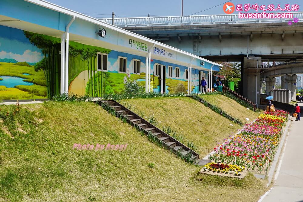 釜山油菜花景點》江西區廳站|大渚生態公園洛東江油菜花慶典攻略+交通資訊 - 第13張圖 釜山油菜花景點》江西區廳站|大渚生態公園洛東江油菜花慶典攻略+交通資訊