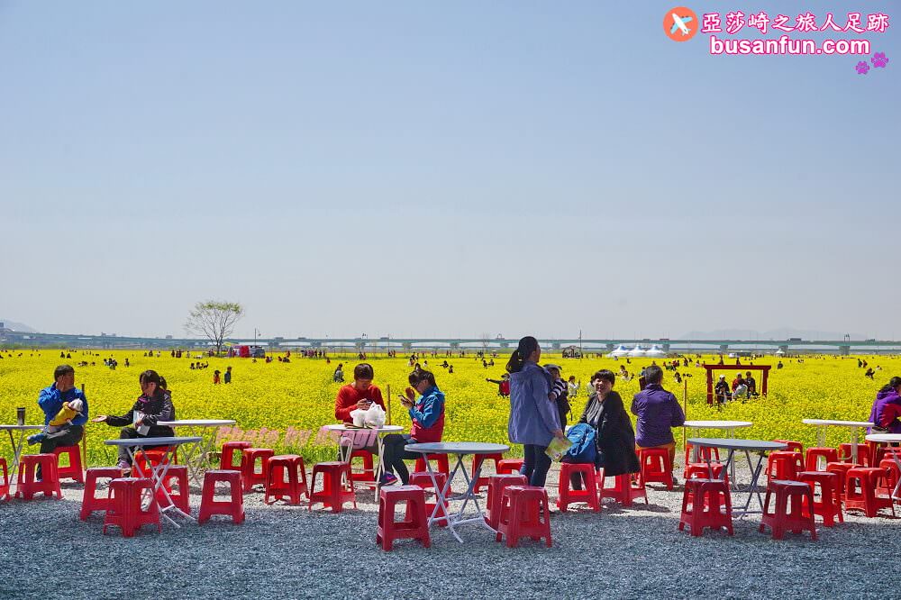 釜山油菜花景點》江西區廳站|大渚生態公園洛東江油菜花慶典攻略+交通資訊 - 第26張圖 釜山油菜花景點》江西區廳站|大渚生態公園洛東江油菜花慶典攻略+交通資訊