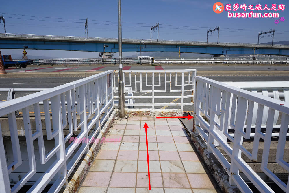 釜山油菜花景點》江西區廳站|大渚生態公園洛東江油菜花慶典攻略+交通資訊 - 第47張圖 釜山油菜花景點》江西區廳站|大渚生態公園洛東江油菜花慶典攻略+交通資訊