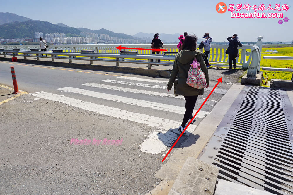 釜山油菜花景點》江西區廳站|大渚生態公園洛東江油菜花慶典攻略+交通資訊 - 第49張圖 釜山油菜花景點》江西區廳站|大渚生態公園洛東江油菜花慶典攻略+交通資訊