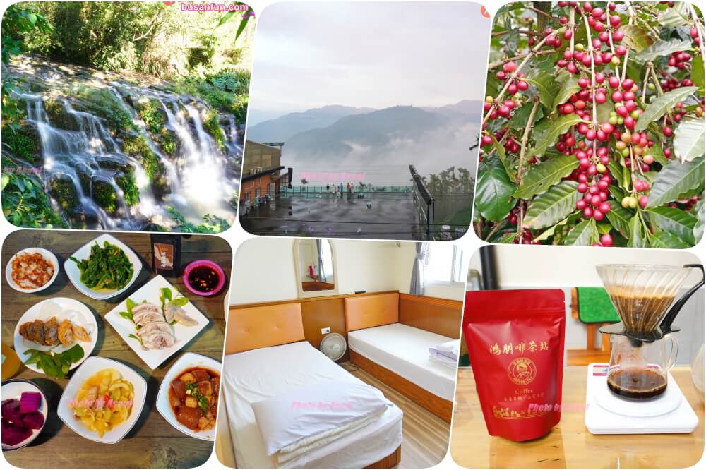 阿里山黃頭鷺季 太興黃頭鷺季 太興景點 太興美食 太興伴手禮 太興景點