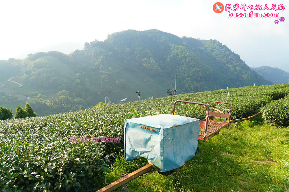 嘉義梅山大風埕觀日峰1420觀景台阿里山太和茶區新秘境