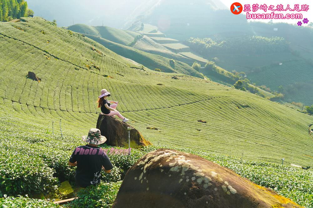 嘉義梅山大風埕觀日峰1420觀景台阿里山太和茶區新秘境