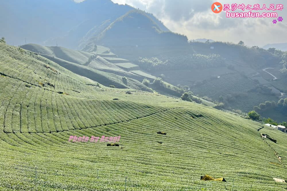 嘉義梅山大風埕觀日峰1420觀景台阿里山太和茶區新秘境