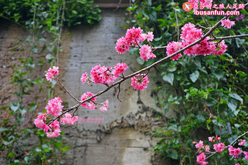 谷關住宿推薦｜麗池山水溫泉會館地中海度假飯店房間泡湯池超大還有露天大眾池