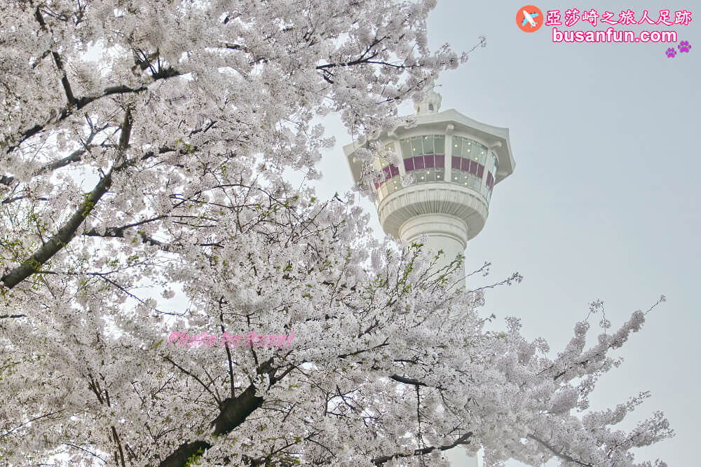 釜山南浦站龍頭山公園용두산공원&釜山塔부산타워好逛鬧區中的美拍景點 - 第6張圖 釜山南浦站龍頭山公園용두산공원&釜山塔부산타워好逛鬧區中的美拍景點