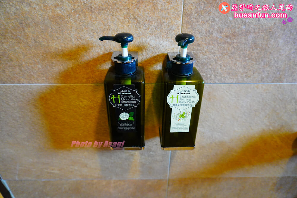 台南泡湯龜丹溫泉住宿推薦｜龜丹六二溫泉山房超大溫泉浴池環境典雅