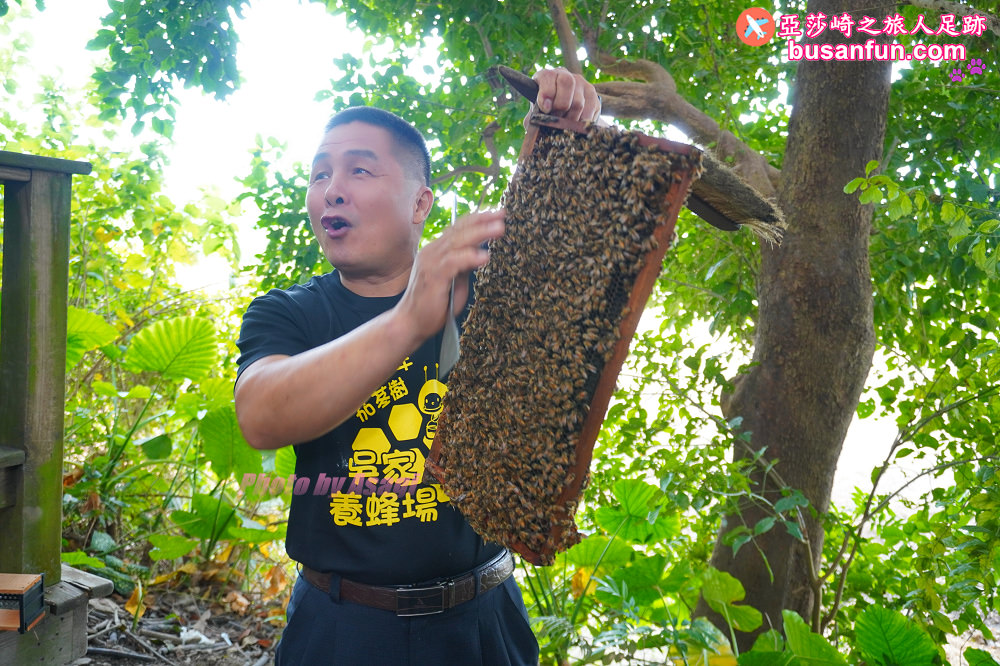 嘉義大林 吳家蜂場大林五百年茄苳樹下過一夜認識蜜蜂生態 戲說大林小旅行 亞莎崎之旅人足跡