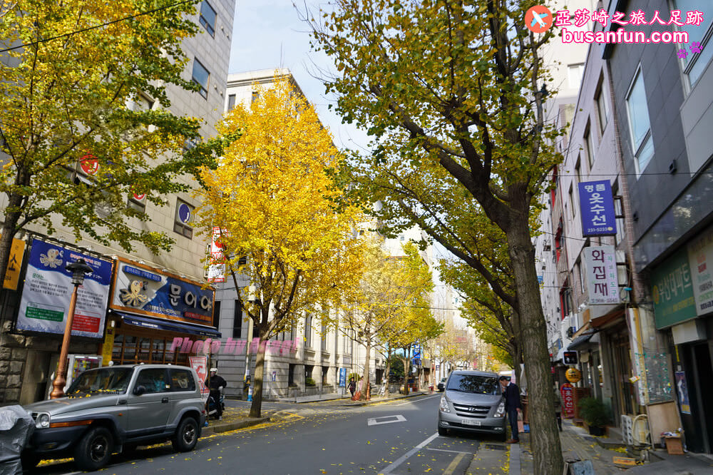 韓國賞楓預測2022釜山賞楓景點推薦 - 第7張圖 釜山南浦洞 銀杏樹
