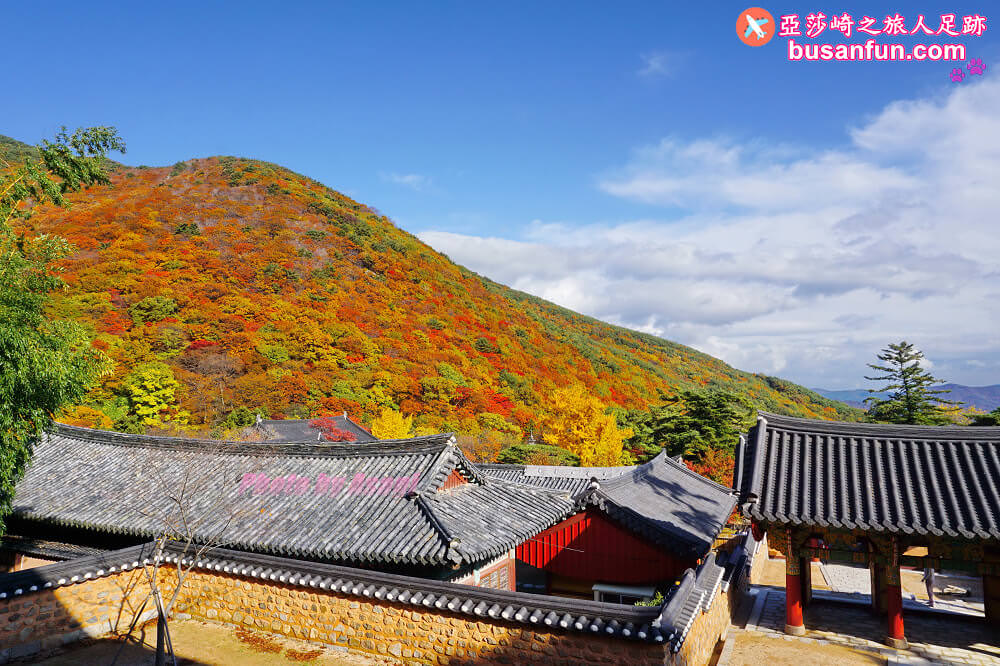 韓國賞楓預測2022釜山賞楓景點推薦 - 第9張圖 釜山梵魚寺 韓國賞楓 釜山賞楓