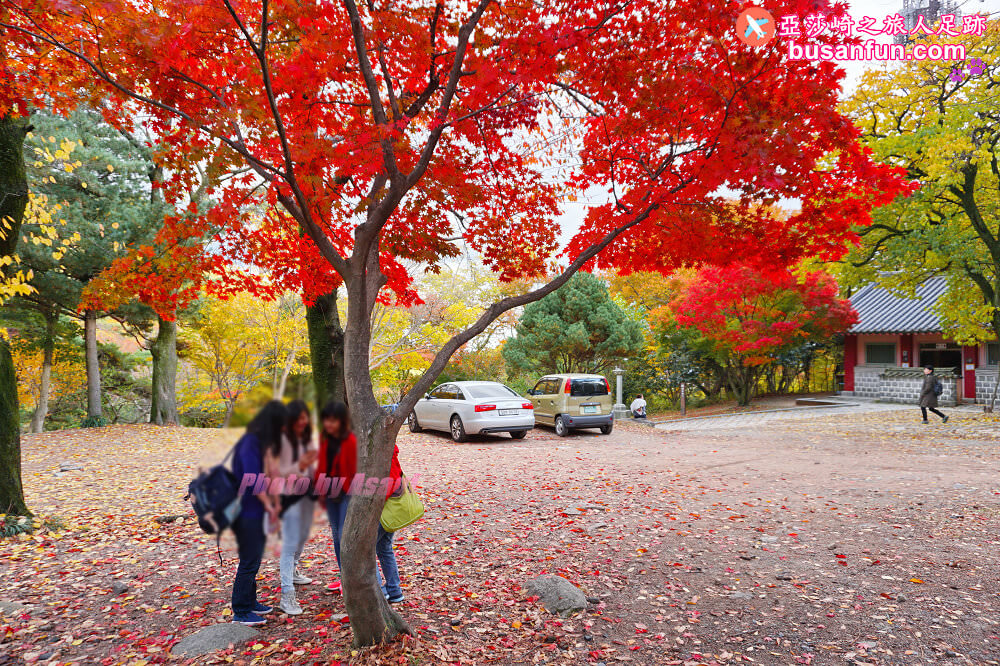 韓國賞楓預測2022釜山賞楓景點推薦 - 第11張圖 韓國賞楓預測2022釜山賞楓景點推薦