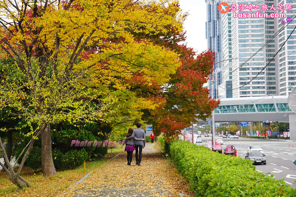 韓國賞楓預測2022釜山賞楓景點推薦 - 第22張圖 韓國賞楓 釜山賞楓 釜山景點