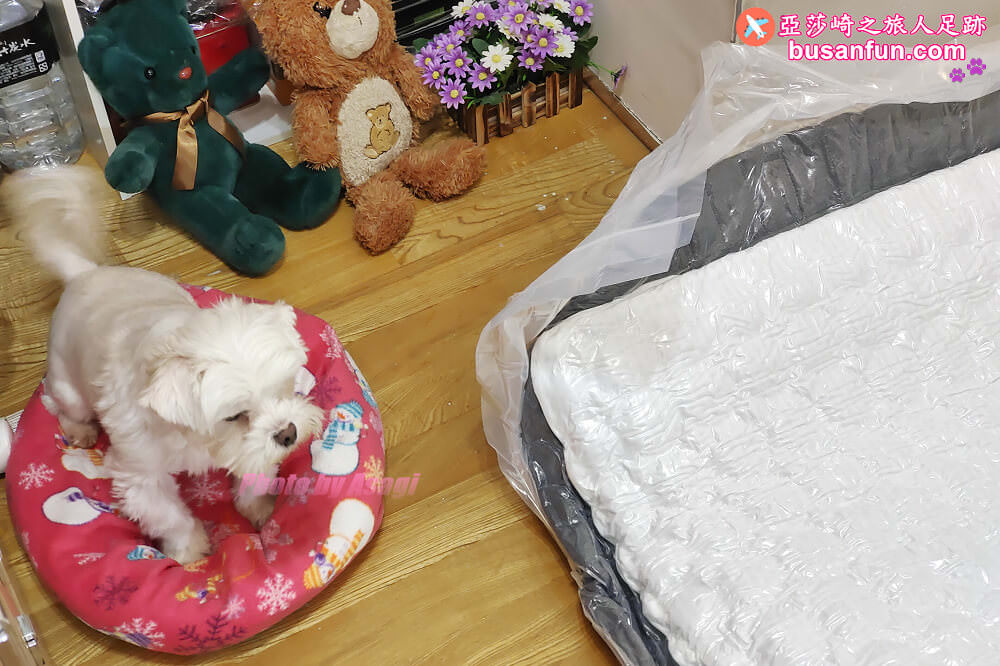 Emma床墊優缺點評價｜德國Emma石墨烯黑鑽床墊開箱 推薦涼感好睡恆溫新科技冬暖夏涼！