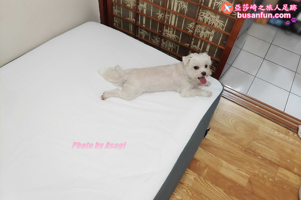 Emma床墊優缺點評價｜德國Emma石墨烯黑鑽床墊開箱 推薦涼感好睡恆溫新科技冬暖夏涼！