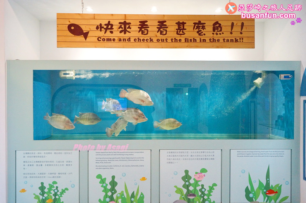 台灣鯛生態創意園區