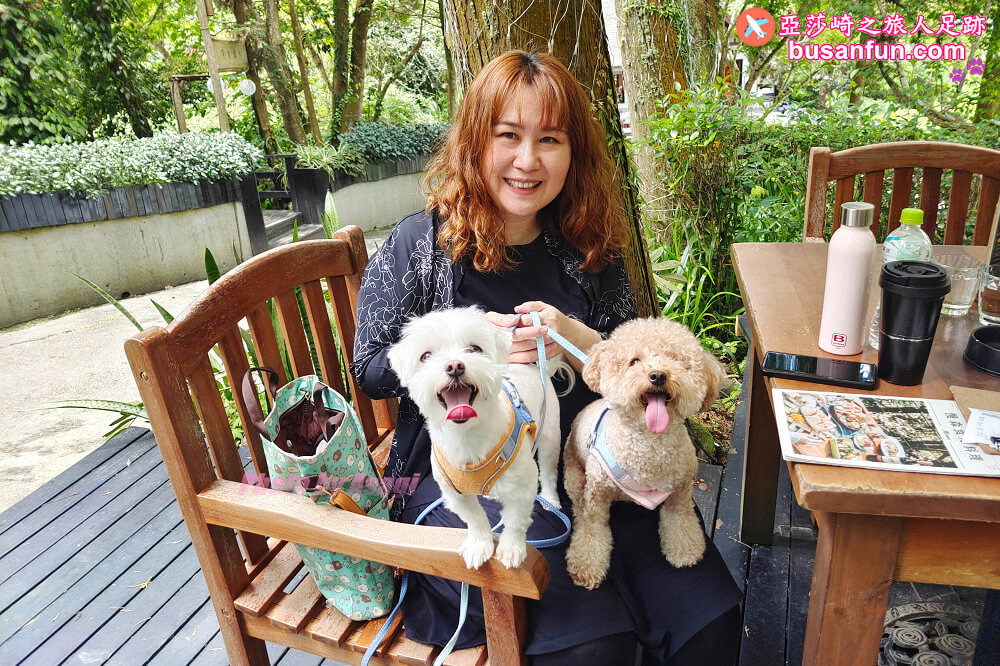 OMIA學東西線上課程多元內容發現新興趣－瑜伽、繪畫、手作DIY、個人成長等學習不受限