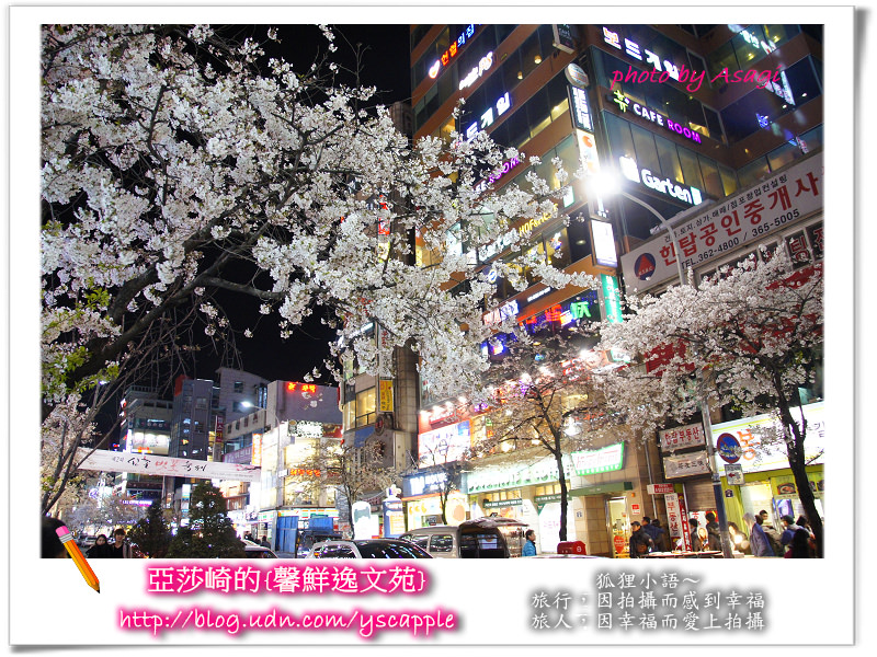 釜山首爾追星旅行-首爾新村櫻花